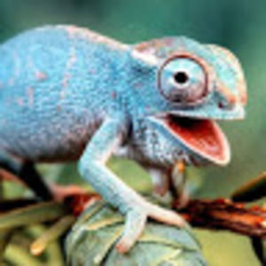 Meet your Posher, M.